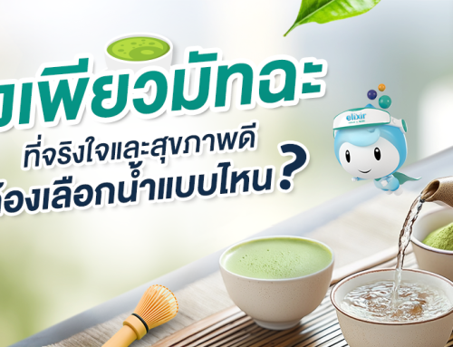 คุณภาพน้ำที่เหมาะกับการชงเพียวมัทฉะ