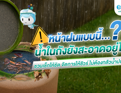 หน้าฝนแบบนี้ น้ำในถังยังสะอาดอยู่ไหม?